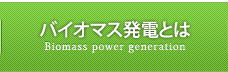 バイオマス発電とは