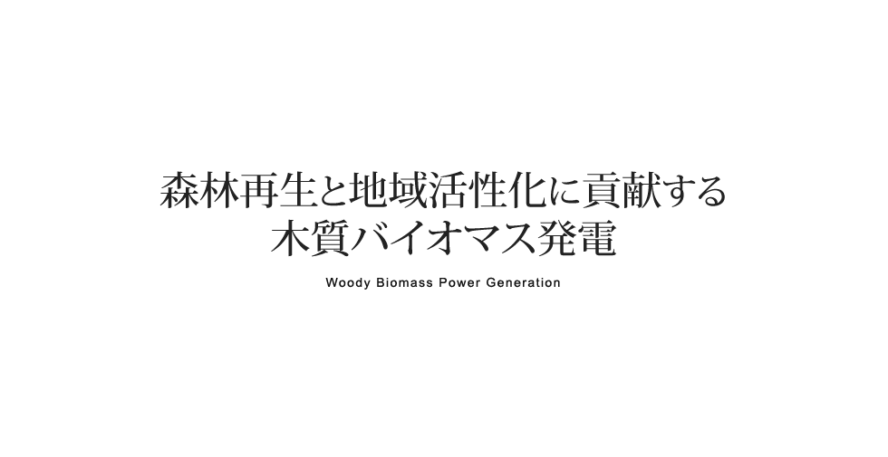 森林再生と地域活性化に貢献する木質バイオマス発電